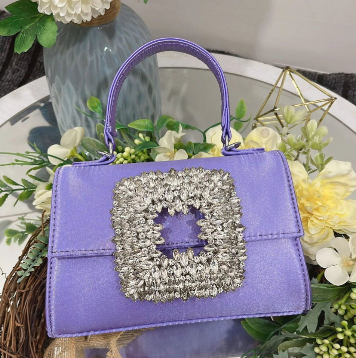 Clementine Royale Crystal Buckle Handbag